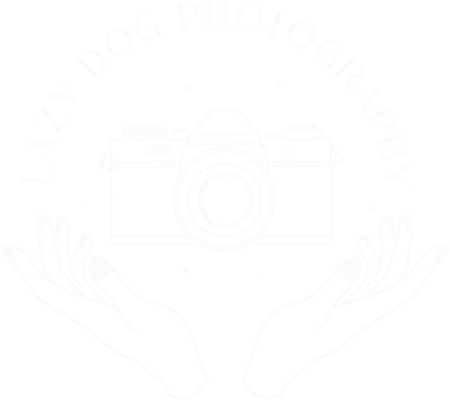 Lazy Dog Photography